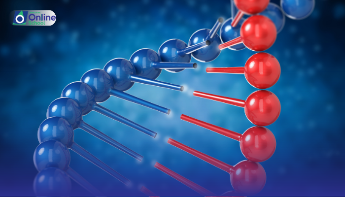 Lesson 27: Description of Symptoms, Causes, and Treatments of Gene Mutations